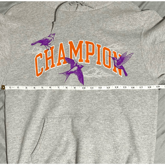 Vintage Champion Urban Outfitters Songbird Gray Hoodie Sz Small Rare - Picture 11 of 11